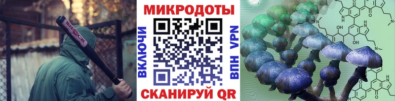 Псилоцибиновые грибы прущие грибы  Купить  Бабушкин 